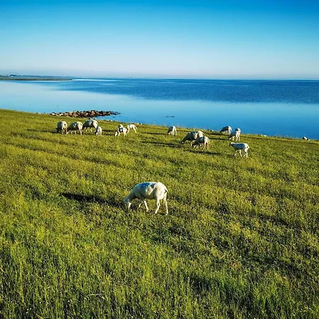 Haus Am Merr Auf Fehmarn Ot Westerbergen *