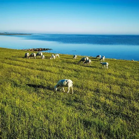 Haus Am Merr Auf Fehmarn Ot Westerbergen بيت للعطل